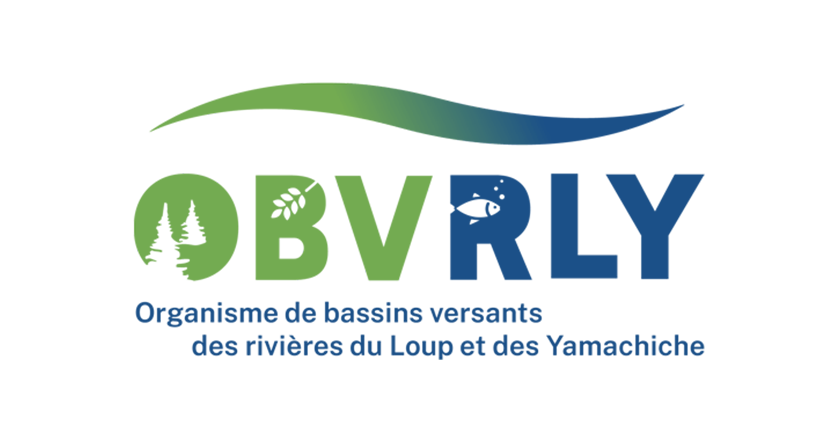 Logo Obverly