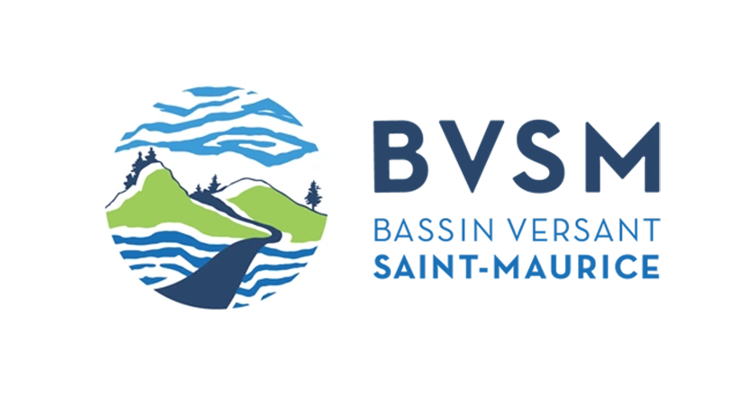 Logo BVSM