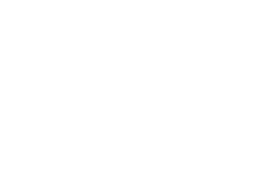 Logo Salon des sciences Renversé