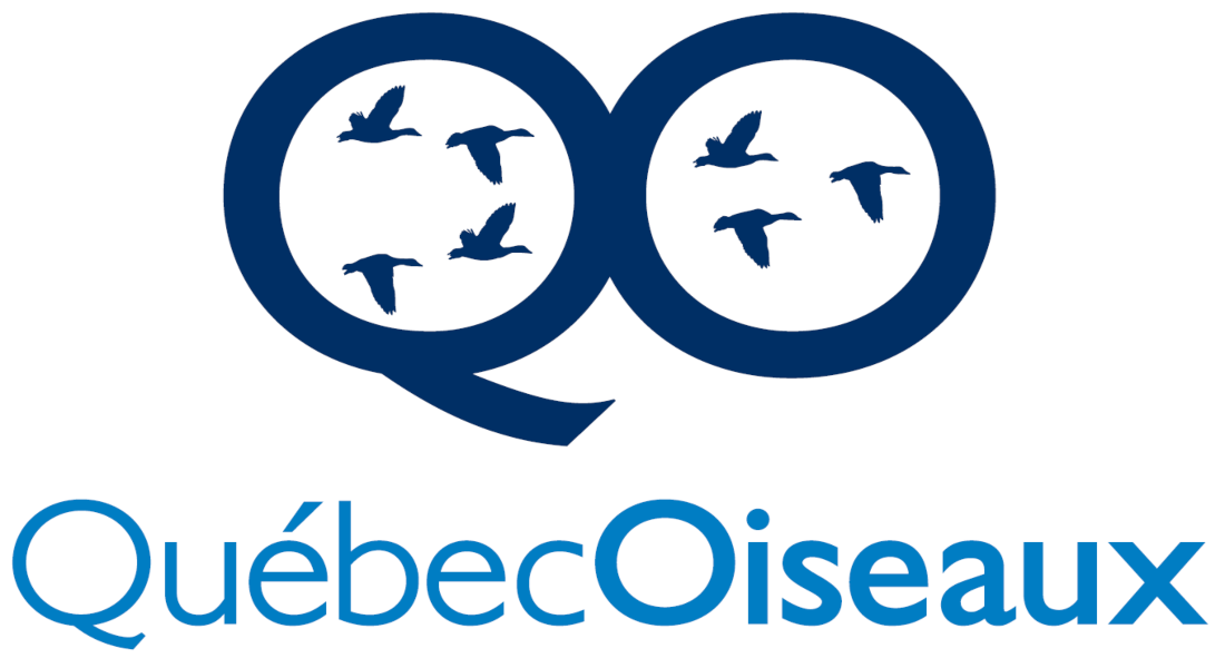 Logo Québec Oiseaux